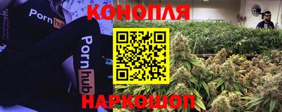 apvp Тверь