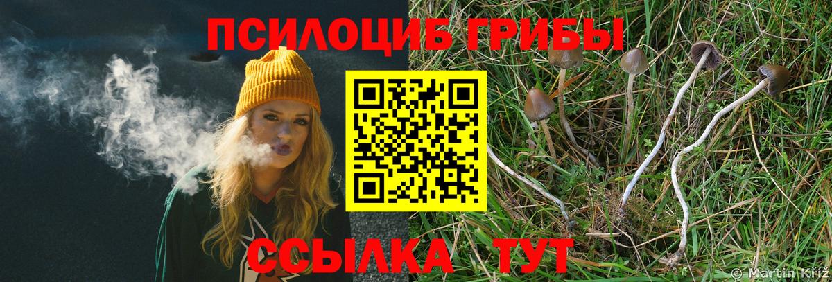 Псилоцибиновые грибы мицелий  Галлюциногенные грибы прущие грибы  Протвино  Вход с VPN 